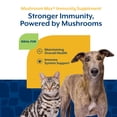 thumbnail image 6 of NaturVet Mushroom Max Advanced Immune Support Soft Chews for Dogs and Cats, 6 of 9
