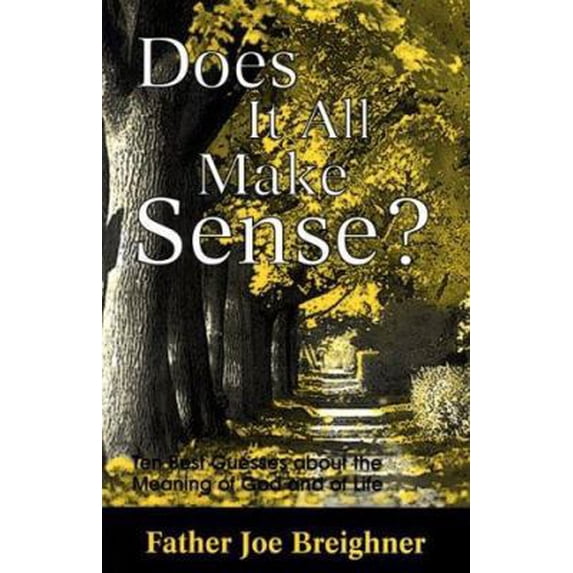Pre-Owned Does It All Make Sense?: Ten Best Guesses About the Meaning of God and of Life (Paperback) 096623930X 9780966239300