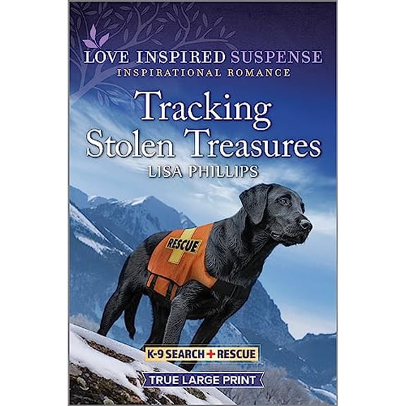 Pre-Owned Tracking Stolen Treasures (Paperback) 1335510214 9781335510211