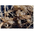 thumbnail image 2 of Soil Moist Granules, 3 Lb, 2 of 3