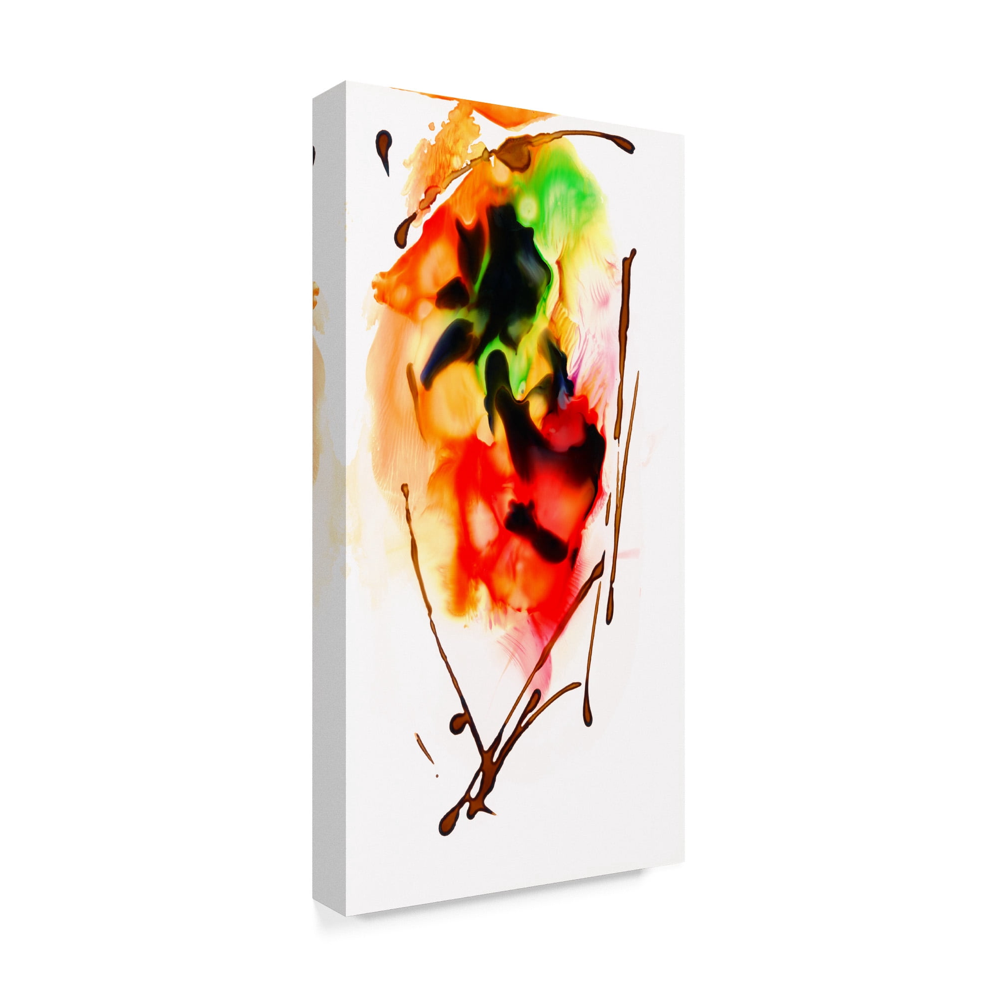 Trademark Fine Art 'Abstract number 05' Canvas Art by Masters Fine Art