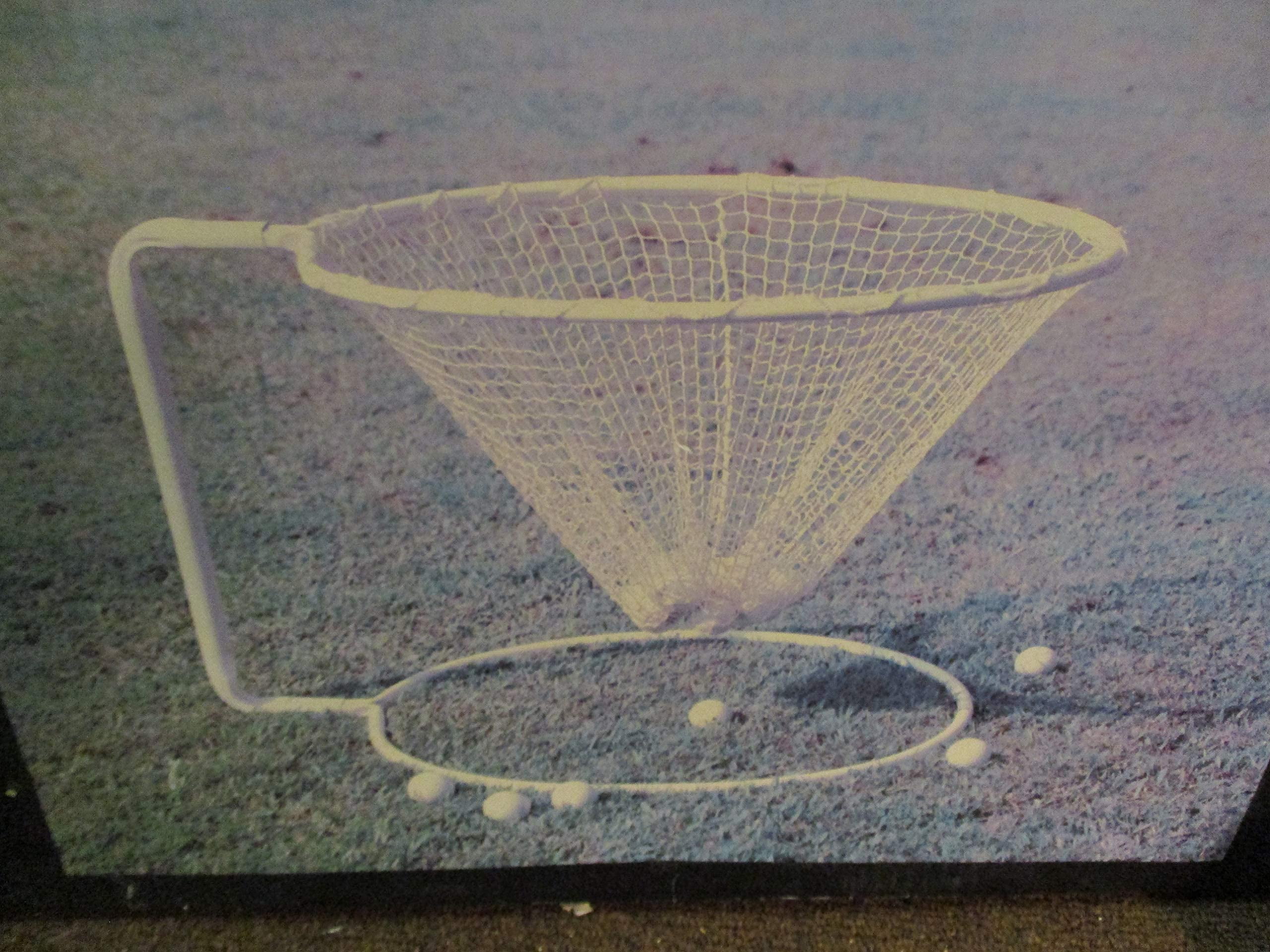 Ed's Variety Store On Course Chip It in Golf Ball Net with Frame