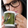 thumbnail image 2 of 3dRose, Washington, Lake Sammamish, Cedar Waxwing bird - US48 GLU0129 - Gary Luhm, 11oz Mug, 2 of 7