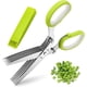 thumbnail image 1 of Tijeras para hierbas, tijeras de cocina, 5 hojas de acero inoxidable y peine de limpieza, tijeras de cocina para hierbas, herramienta profesional para cortar alimentos., 1 of 5