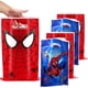 thumbnail image 4 of Bolsas de regalo para fiestas de Spiderman, bolsas de dulces de Marvel Avengers, bolsas de botín para fiestas infantiles, regalos para fiestas de cumpleaños, suministros para festivales, decoración, 4 of 5