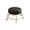 Black2, variant on Iumwxz Plastic Rolling Low Stool with Wheels for Living Room, Bedroom, and Home Office, Mobile Step Stool for Sitting, Shoe Changing, and DIY Projects