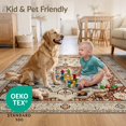 thumbnail image 4 of ODIKA 3'x5' Ultra-Soft Throw Mat, Hallway Boho Vintage Distressed Scrolls Ornate Border Faded Southwestern None Washable, Bare feet friendly, Easy Care Indoor rug for Bedside, Vanity, 4 of 7