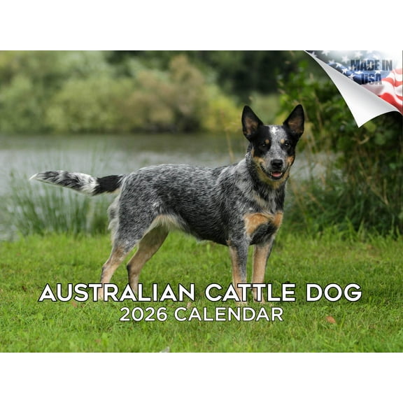 2025 2026 Australian Cattle Dog Calendar - Dog Breed Monthly Wall Calendar - 12 x 18 Open - Thick No-Bleed Paper - Giftable - Made in USA