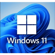 Virtual Windows 11 Pro USB Flash Drive, Multicolor