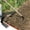 B, variant on EGNMCR Outdoor Agricultural Tools Forging Weeding Hoe For Planting Vegetables Flower Hoes Metal hoe