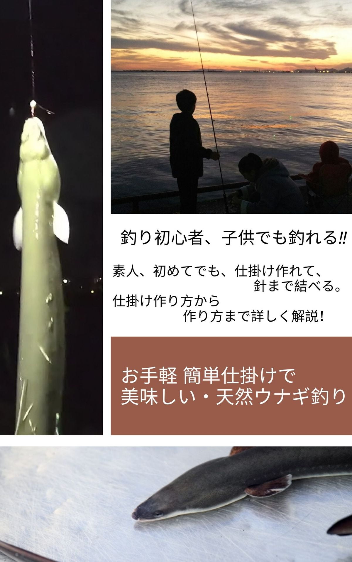 釣り初心者 子供でも釣れる ウナギ釣り Ebook Walmart Com Walmart Com