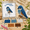 #C, variant on 2D Petite Beaded Animal Craft Kit,Easy DIY Beading Embroidery,DIY Bead Kit Beaded Animal CraftKit,Cute Bird & AnimalThemed Beadwork Kits for Beginners & CraftEnthusiasts with Instructions Each Box