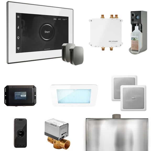 Mr Steam Bliss Max Steam Shower Ctrl Pkg w/iSteamX Control and Steamhead in White Satin Steel