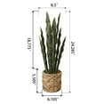 thumbnail image 3 of (3 pack) Home Decor Collection Flora Bunda 24.3" Artificial Snake Plant in Rattan Basket, 3 of 6