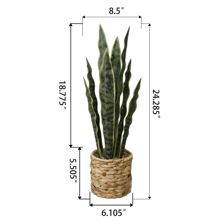 Home Decor Collection Flora Bunda 24.3 inch Artificial Snake Plant in Rattan Basket