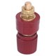 thumbnail image 3 of Terminal de Enchufe Tipo Banana ANGGREK Conector de Terminal de Latón M6, 3 of 8