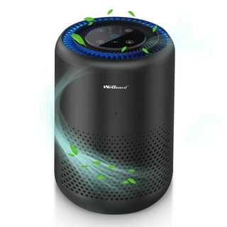 Filterless air online purifier walmart