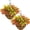 Fall, variant on CandWuom 2 Set Artificial Outdoor Flowers with Hanging Basket, Hanging Planters with 28 Pcs Flowers for Spring Summer Front Porch Garden Patio Home Decor