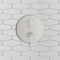 thumbnail image 6 of American Standard Studio S Shower Trim in Brushed Nickel, 6 of 6