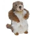 thumbnail image 2 of Hansa - 9 Inch Baby Mamot (Groundhog), 2 of 2