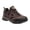 Indian Chestnut/Cameo, variant on Regatta Womens Holcombe IEP Low Hiking Boots