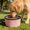 Pink, variant on Portable Dog Bowls Foldable Travel Dish for Hiking Camping, No Spill Collapsible Puppy Water Bowl for Small and Large Dogs, Outdoor Pet Accessories