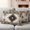 brown, variant on Haze Blue Boho Outdoor Waterproof Pillow Covers, Farmhouse Retro Southwest Aztec Motifs Decorative Square Throw Pillowcase Sofa Cushion Sham for Patio/Couch/Chair, 16"x16" 2 Pack