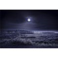 thumbnail image 1 of Posterazzi DPI1793597 Evening Winter Scene Poster Print by Richard Wear, 17 x 11, 1 of 1