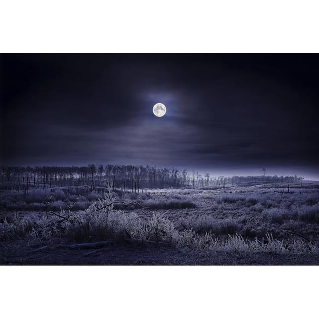 Posterazzi DPI1793597 Evening Winter Scene Poster Print by Richard Wear, 17 x 11