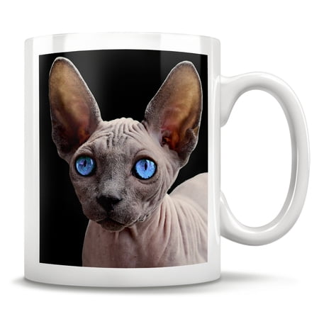 Sphynx Cat Gift Sphynx Cat Mug Sphynx Cat Coffee Cup Hairless Cat