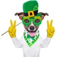 thumbnail image 4 of [USAHTOOQ SALES] St.Patrick's Day Set : Props + Banner, St.Patrick Day Decorations, by USAHTOOQ SALES - -, 4 of 9