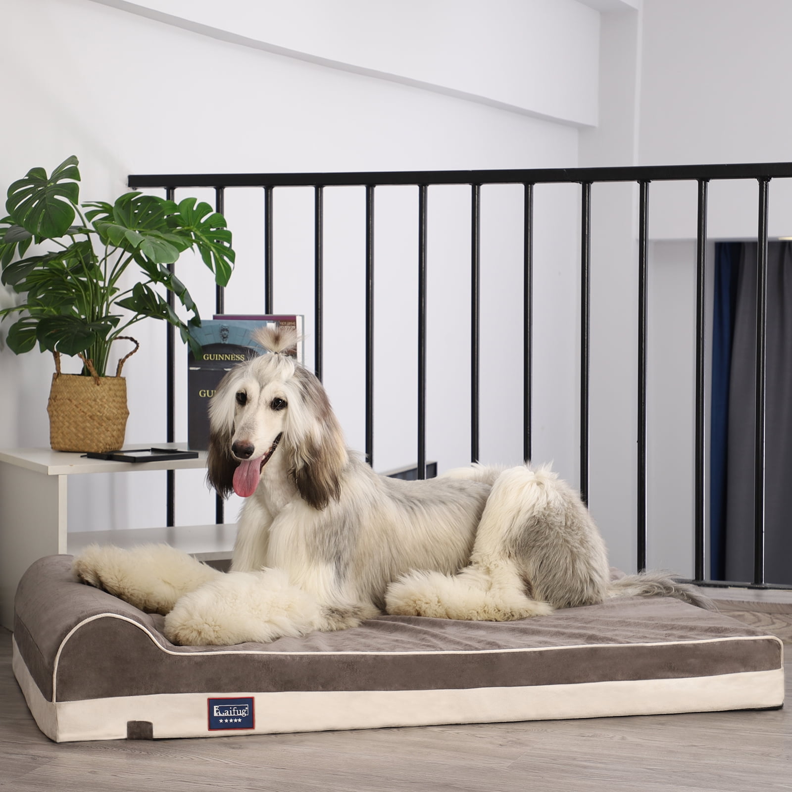 Laifug Orthopedic Memory Foam Large Dog Bed with Pillow and Durable WaterProof Liner & Removable Washable Cover  (Large (46"x28"x8"), Grey)