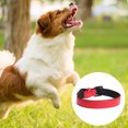 thumbnail image 3 of Collar de perro de ajuste ceñido, collar ajustable con hebilla acolchada, adecuado para perros pequeños, medianos y grandes, 3 of 5