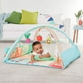 thumbnail image 5 of Skip Hop Baby Farmstand Grow & Play Activity Gym for Ages 0-2, 5 of 5