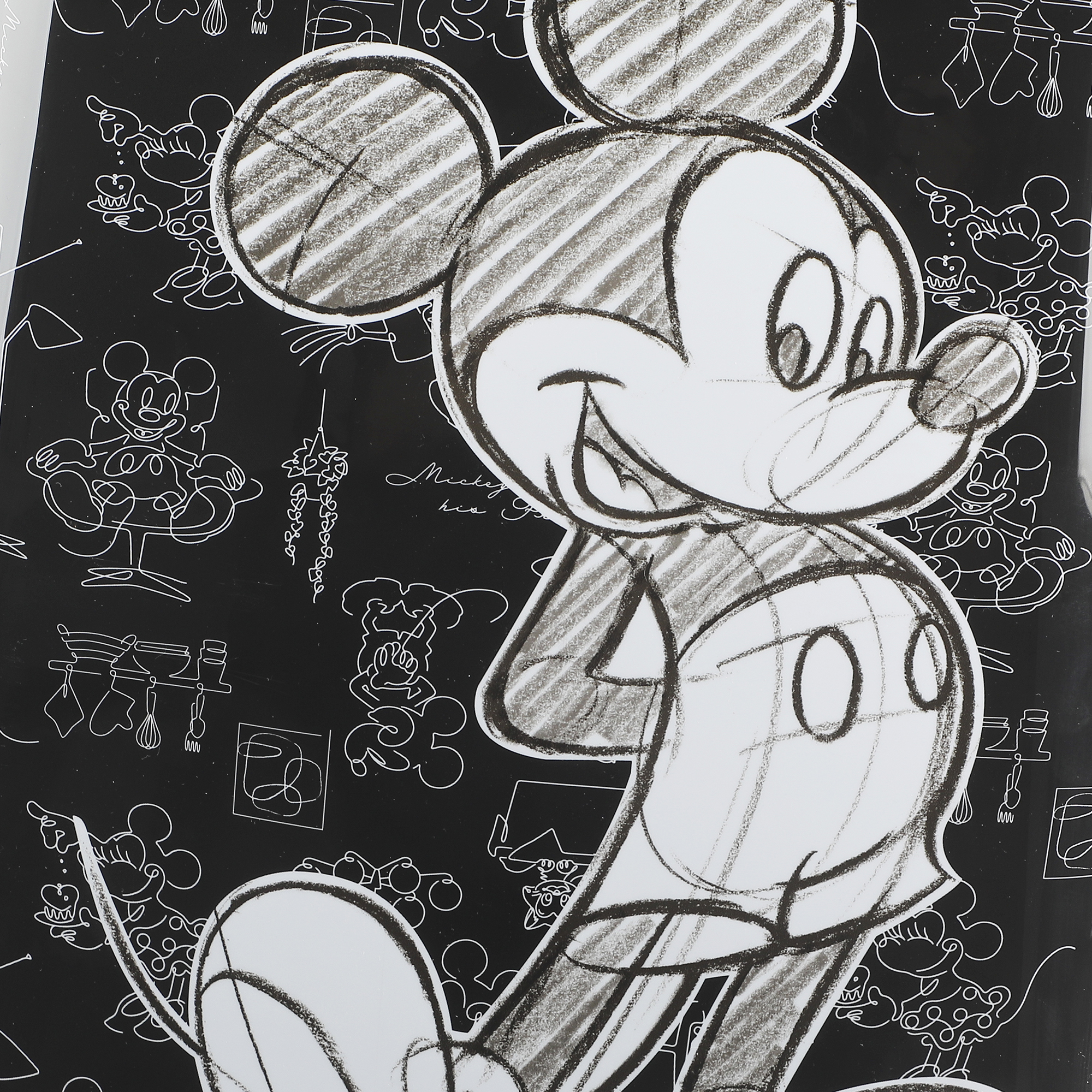 Disney Mickey Mouse 20" Hard-Sided Carry-On Luggage