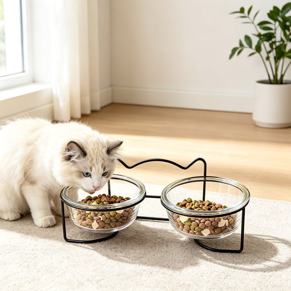 Glass Double Cat Bowl Set Tilted Elevated Ergonomic Food Water Dish Whisker Friendly Neck Protection for Cats Small Dogs Microwave Safe