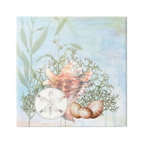 Stupell Industries Sea Life Coral Seashells Botanicals Underwater Ocean Canvas Wall Art, 36 x 36, Design by Diannart