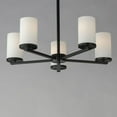 thumbnail image 2 of 10286SWBK Maxim Lighting Lateral - 5 Light Chandelier-18.5 Inches Tall and 24 Inches Wide-Black Finish, 2 of 5