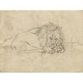 thumbnail image 3 of James Sowerby 18x15 Black Modern Framed Museum Art Print Titled - A Lion, 3 of 5