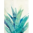 thumbnail image 2 of Hristova, Albena 15x18 Black Ornate Wood Framed with Double Matting Museum Art Print Titled - Cool Aloe, 2 of 4