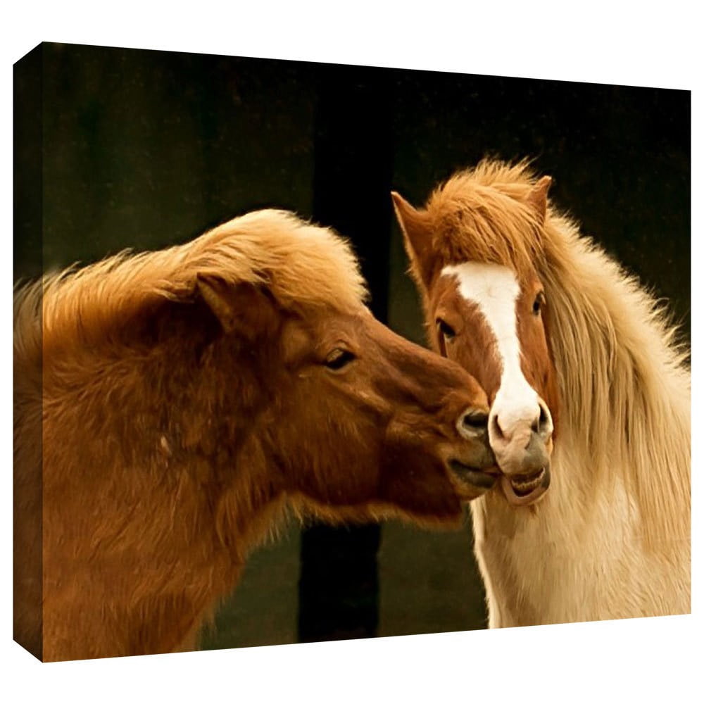 Lindsey Janich "Hugz For 2014" Gallery-Wrapped Canvas