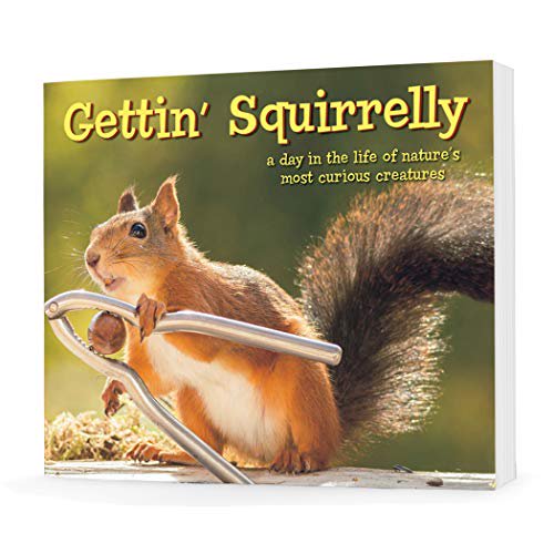 Pre-Owned Gettin Squirrelly Hardcover Gift Book, 9781682348383, 1682348385, Hardcover,