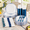 Clear and Blue-25, variant on Clear and Black 50 Count Disposable Party Supply Dinnerware Set