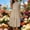 Khaki, variant on Womens Summer Dresses Sevevn Women's Summer Cap Sleeve Midi Dress Tiered Ruffle Casual Flowy Dress Khaki S