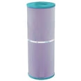 thumbnail image 1 of Hurricane HF4326-01 Platinum Purple Pool and Spa Filter Cartridge Replacement, 1 of 7