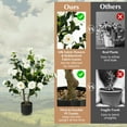 thumbnail image 4 of Resenkos Greenery Decor,38 Inch Artificial Camellia Tree Faux Flower Plant in Cement Pot-White, 4 of 7