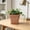 Brown, variant on Square Faux Ceramic Planter with Tray, Vintage Embossed Plastic Flower Pot, Lightweight Retro Decorative Container for Indoor Outdoor Plants, Succulents and Herbs, Rustic Farmhouse Garden Decor