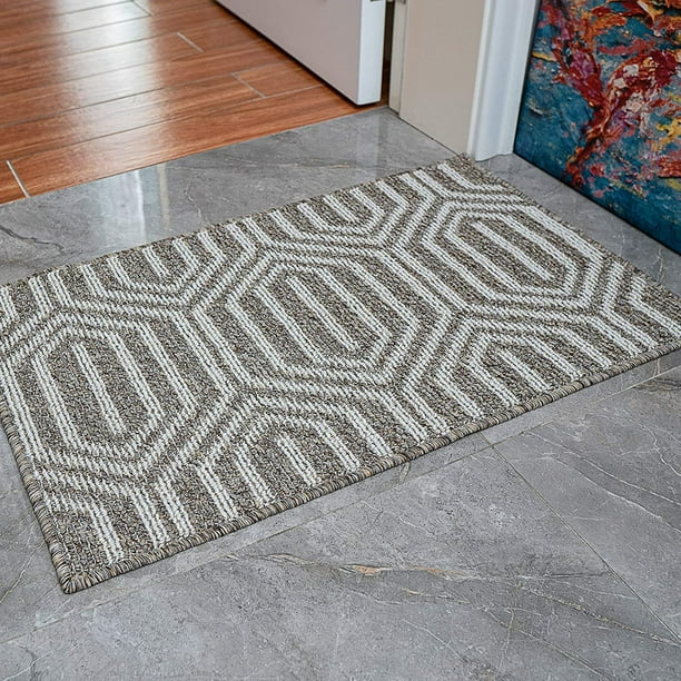 Indoor Doormat Entrance ,Outdoor Mat for Front Door, Waterproof and No