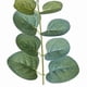 thumbnail image 2 of 20 Piezas Plantas Falsas Hojas de Eucalipto de Seda Decoraciones Artesanales para el Hogar Jardín Boda Álbum de Recortes Flores Artificiales, 2 of 5