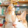 thumbnail image 3 of 2PCS Cat Hair Storage Bottle, Keychain for Collecting Cat and Dog Hair, Cats Whisker Jar, Cute Pet Memorial Gifts, Colorful Cat Keychain, 3 of 5